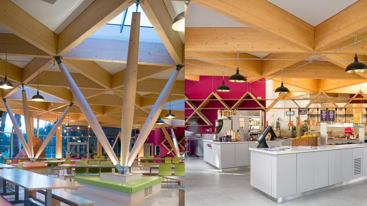 Elizabeth Treehouse, Barretstown, Kildare: commercial lighting by Willie Duggan