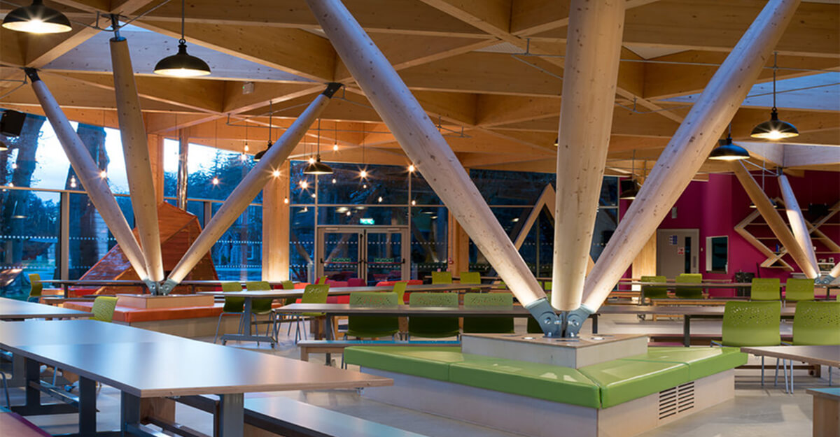 Elizabeth Treehouse, Barretstown, Kildare: commercial lighting by Willie Duggan